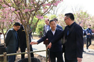 长江生态环保集团总经理王殿常一行莅临泓润公司调研指导